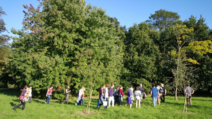 A walking tour group visits Telperion (left) and Laurelin (right) during Oxonmoot 2015.